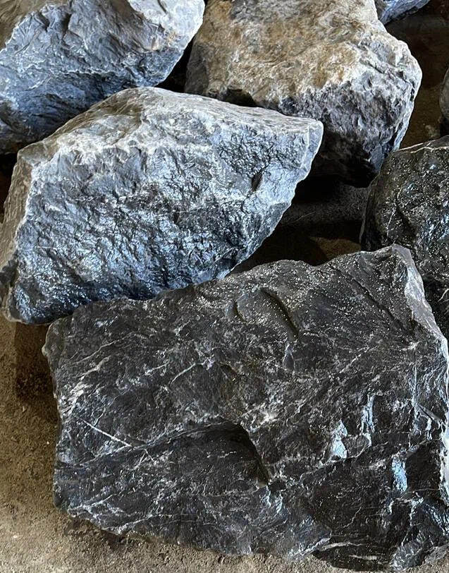 image6 (2)